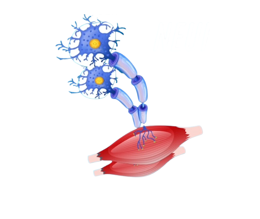 neuromuscular stimulation