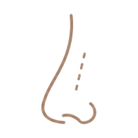 A Flat or Low Nose Bridge