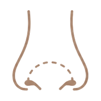 An Undefined Nose Tip